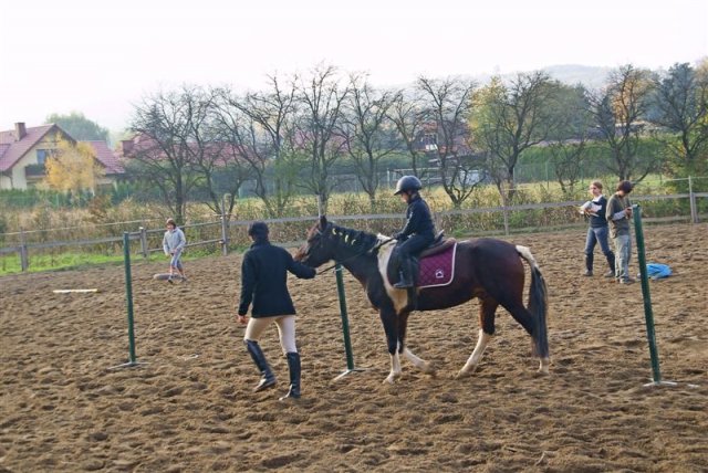 Hubertus 2009